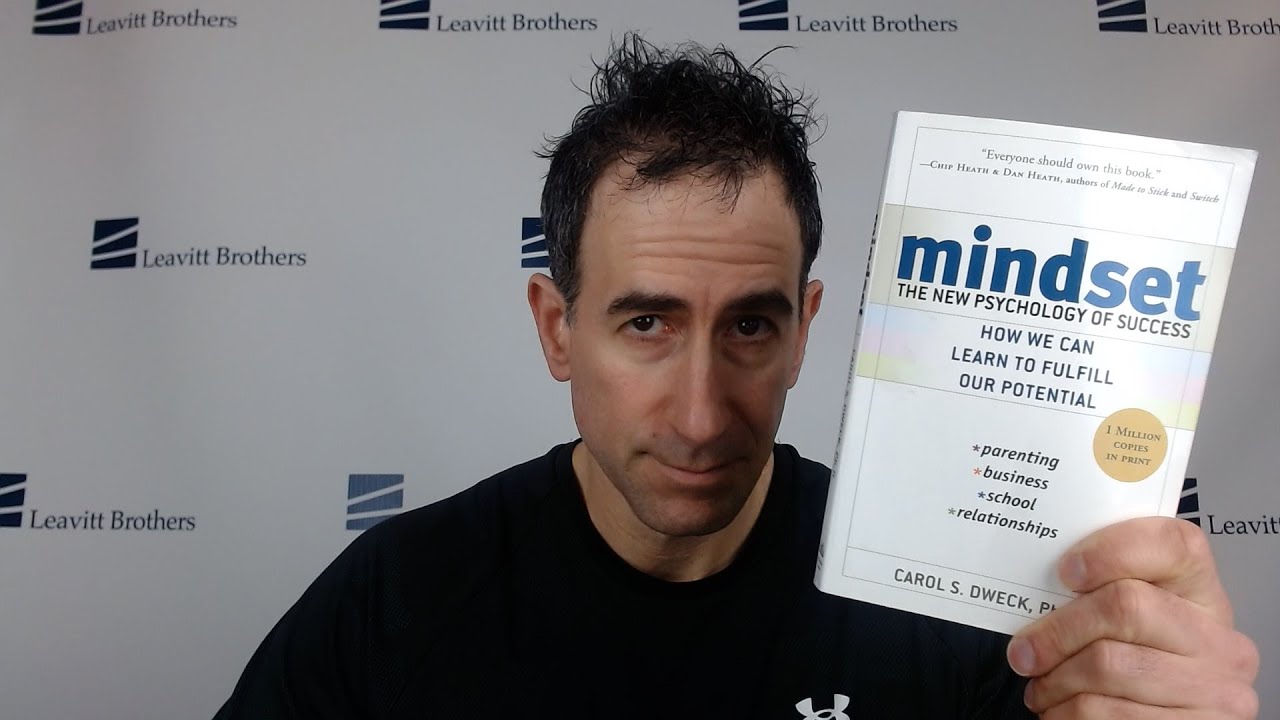 Mindset (Review)